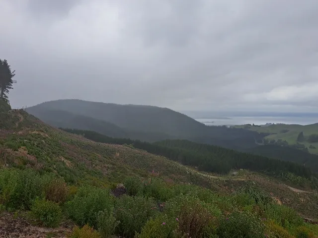 Waipa Whakarewarewa Forest Carpark