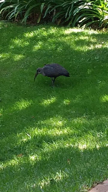 Woodmead Business Park