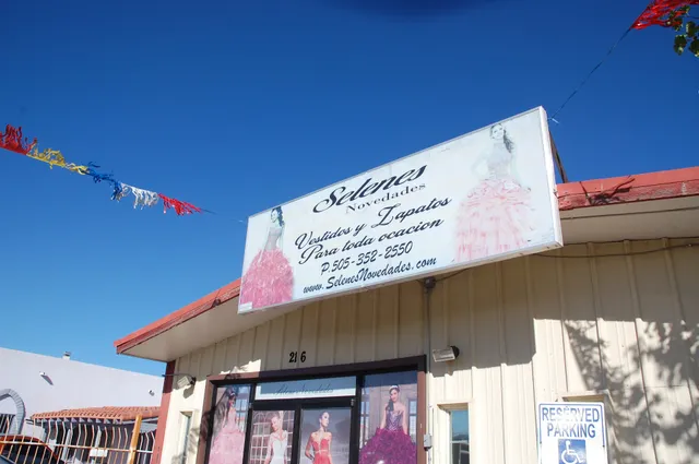 Selene's Novedades Inc