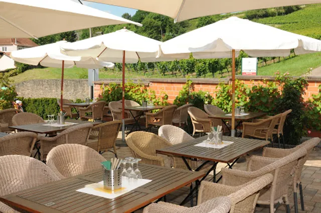 Hofgut Hörstein Wine & Business