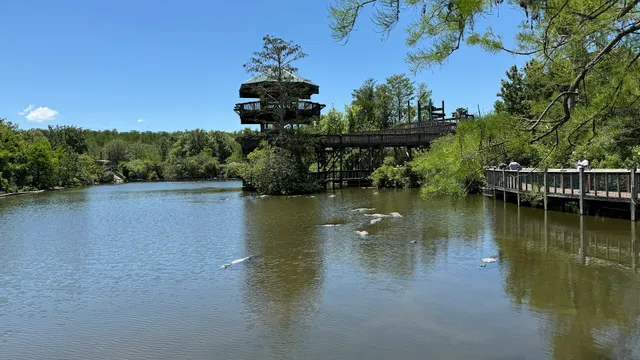 Observation Tower