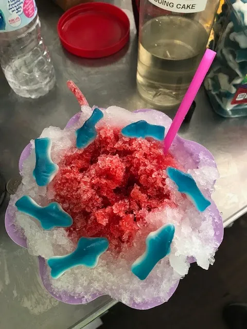 Mr. Tony’s Shaved Ice