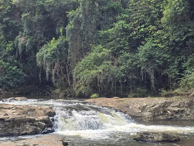 Gardners Falls Riparian Reserve