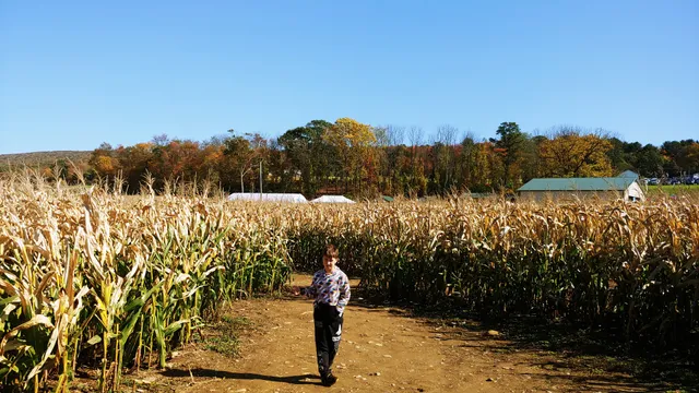 Klingel's Farm & Produce Stand