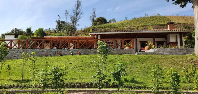 Eco Avocado Lodge