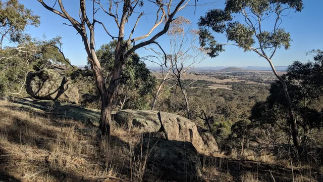 Mt Beckworth Summit