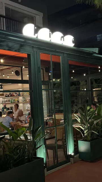 Pino By Luca Piscazzi