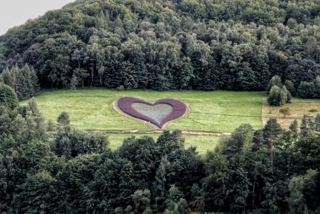 Heart in Subcarpathia