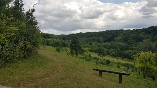Hutchinson's Bank - London Wildlife Trust