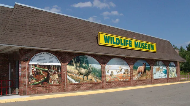 The Wildlife Sports and Educational Museum