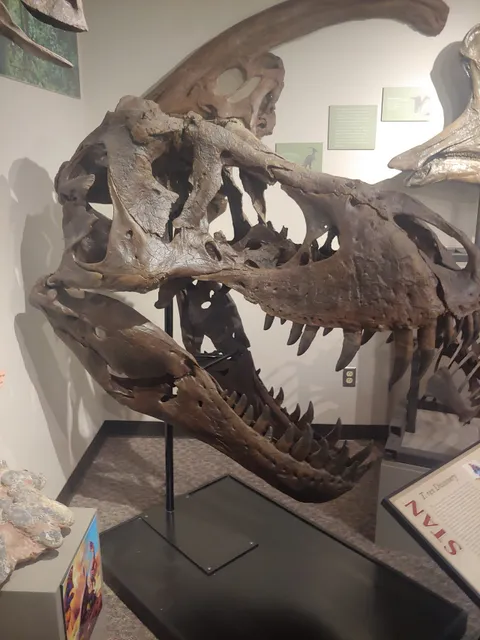 Augustana's Fryxell Geology Museum