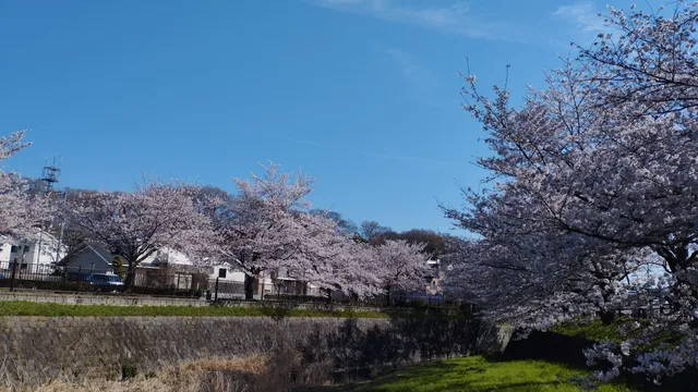 Katakura Tsudoinomori Park