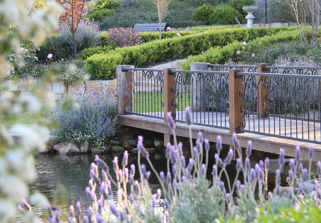 The Bath House Garden (Hunter Valley)