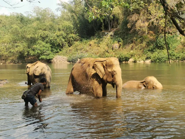 Sai Yok Elephant Park