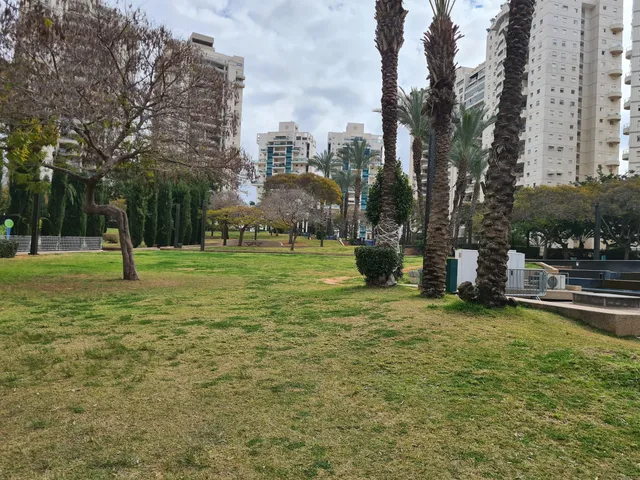 David Melmedovich Park (Marom Nave)