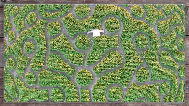 Irrgarten Straubing - im Sommer 2025