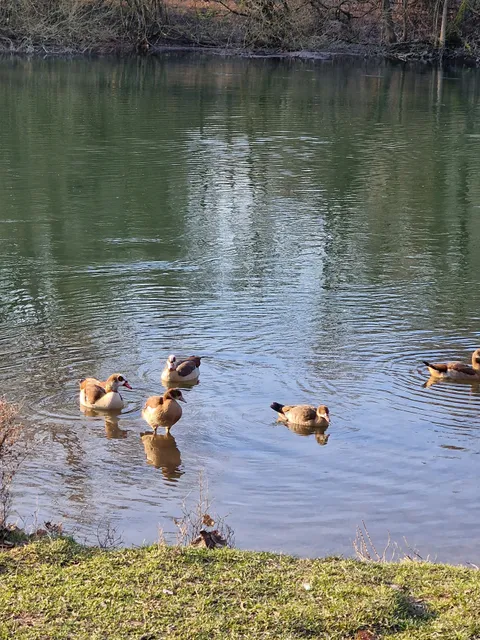 Ill Bruche Urban Natural Park