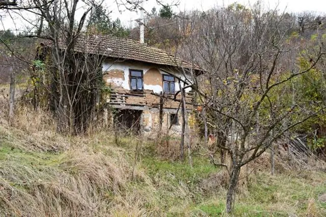 Museum of Winemaking and Viticulture
