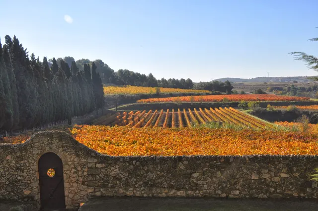 Albet i Noya | Vins ecològics del Penedès. Visita el celler i winebar.