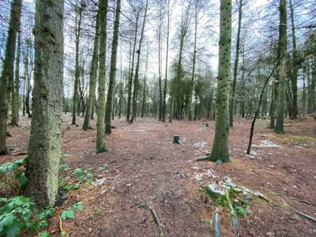 Delamere and Oakmere