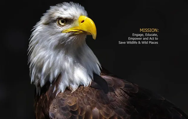 Hawk Creek Wildlife Center, Inc.