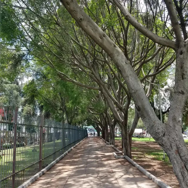 Gustavo A. Madero Park