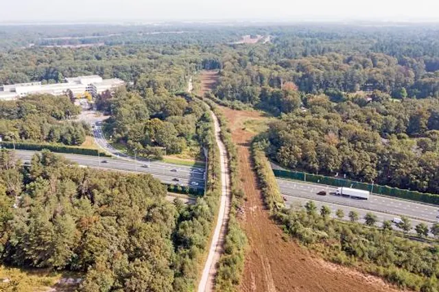 Laarderhoogt Ecoduct