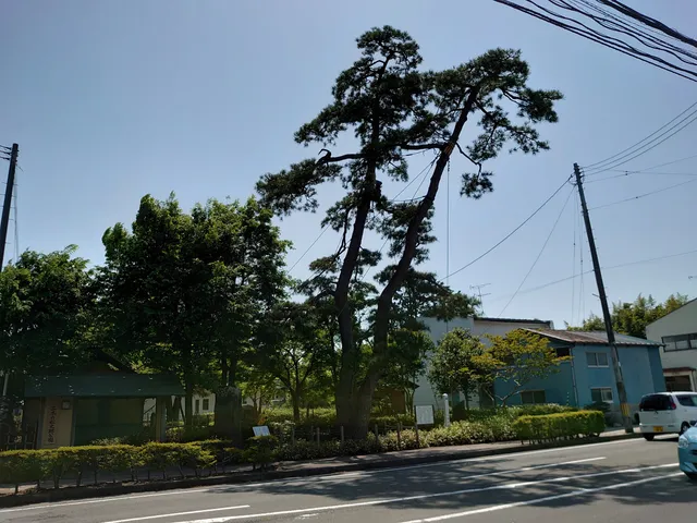 Futakinomatsushiseki Park