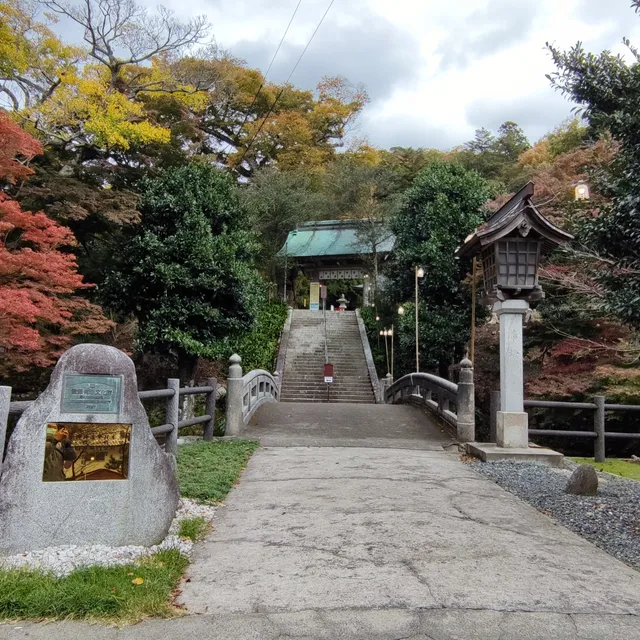 photo-1