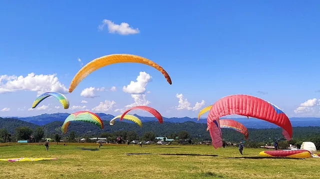 Travel Bir Billing - Paragliding in Bir Billing