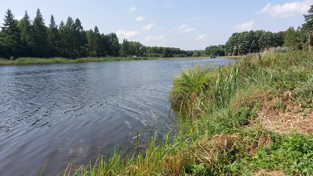 gmina Dubicze Cerkiewne