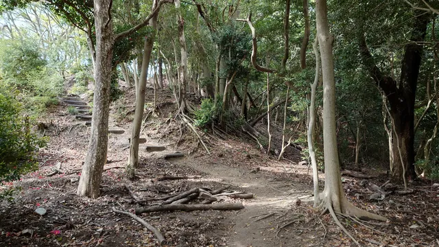 Takiyama Castle Ruins