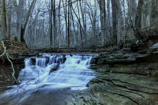 Sulphur Springs Picnic Area