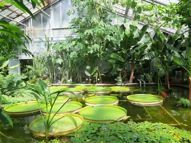 Botanical Garden of KIT