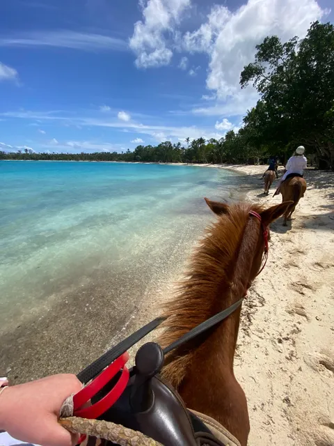 Club Hippique Adventure Park