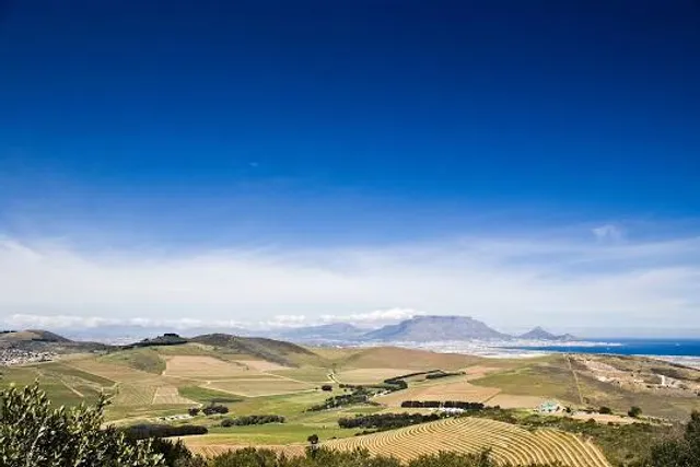 Durbanville Hills Winery