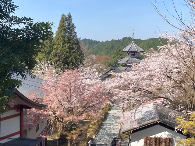 Site of Yoshino Imperial Palace
