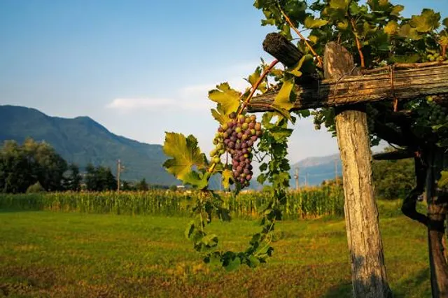 Bhramaram view Point, Kanthaloor