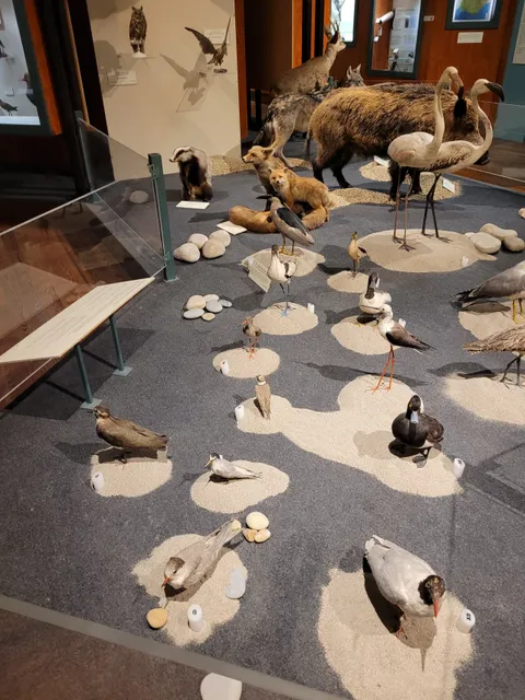 Natural History Museum of Nice