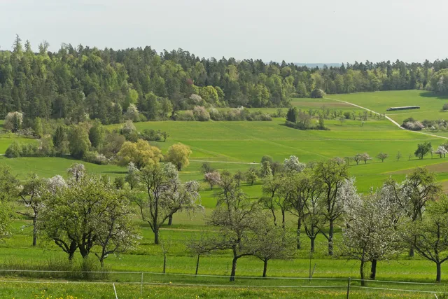 Hörnle und Geißberg