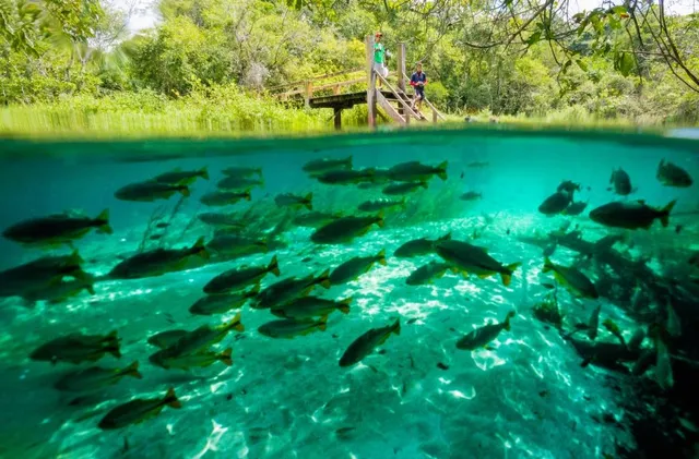Bonito Way - Receptivo em Bonito e Pantanal Sul Matogrossense