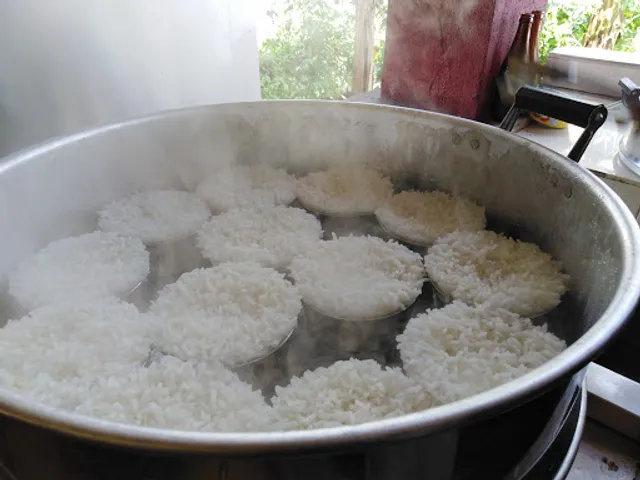 Tiara Western Budget