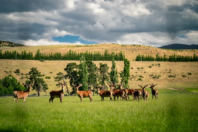 Fossil Farms - Farm Raised Game & All Natural Meats