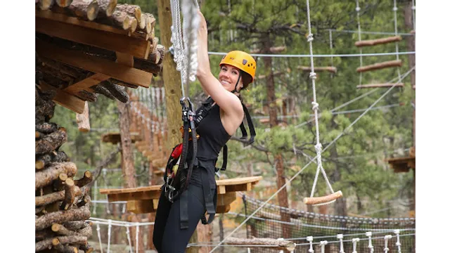 Treehouse Adventure Park