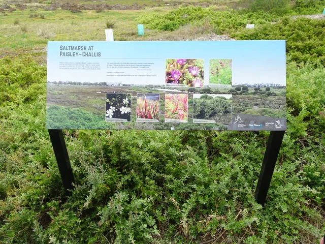 Paisley-Challis Wetlands