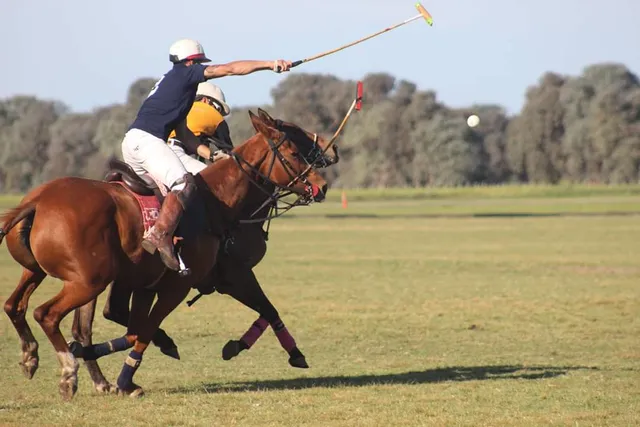 El cardo Polo Club
