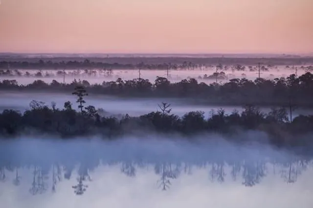 Gosudarstvennyy Prirodnyy Zapovednik "Bryanskiy Les"