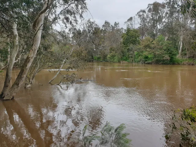 Wilson Reserve
