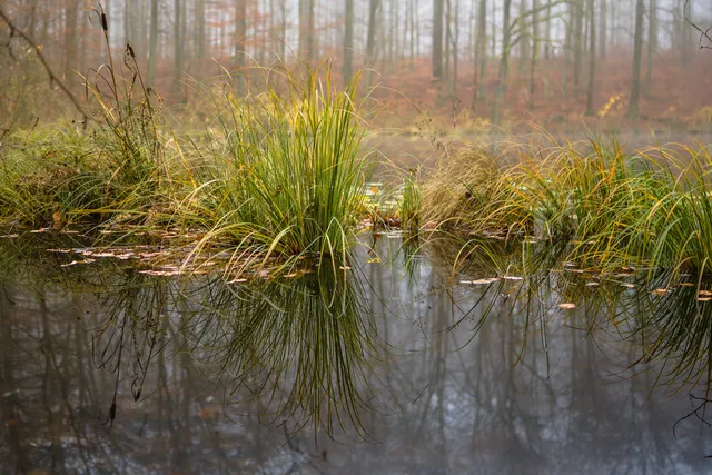 Krajeński Park Krajobrazowy