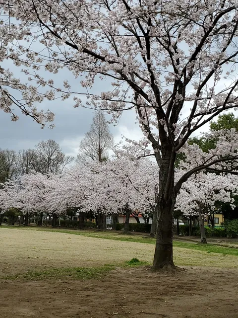 Seibu Park